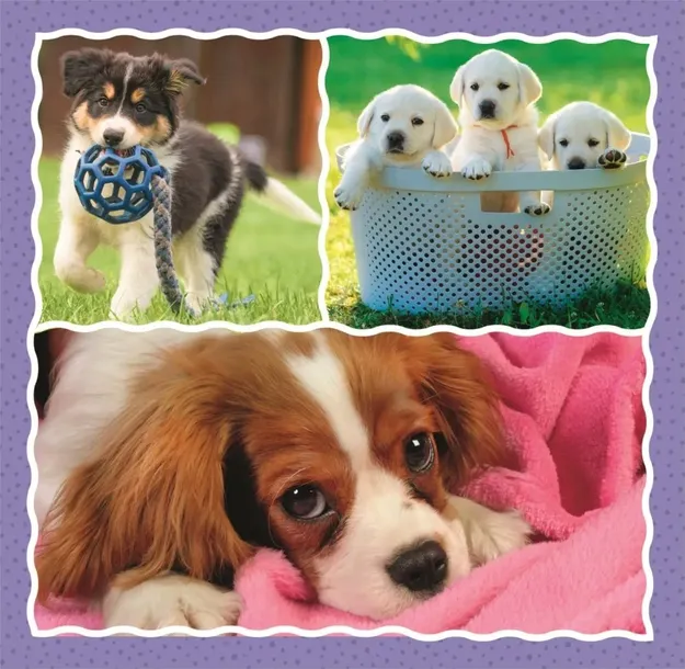 puzzle-3w1-urocze-pieski-marka-trefl