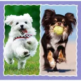 puzzle-3w1-urocze-pieski-stan-nowy-kod-producenta-34854