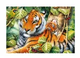 puzzle-1500-dwa-tygrysy-kolekcja-premium-quality