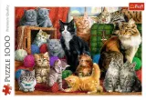 puzzle-1000-dobra-passa-material-karton-papier