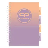 coolpack-zeszyt-gradient-kolozeszyt-b5-berry-stan-nowy