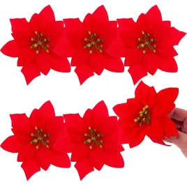 gwiazda-betlejemska-kwiaty-swiateczne-duze-kwiaty-poinsecja-6szt-kpl