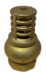 zawor-zwrotny-z-koszem-do-studni-1-cal-typ-ciezki