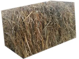 sloma-owsiana-do-budy-dla-kur-wysciolka-5kg