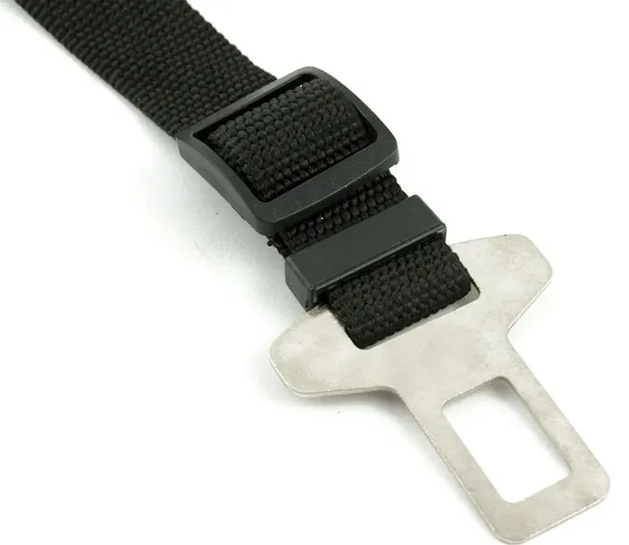 smycz-samochodowa-dla-psa-rodzaj-do-samochodu