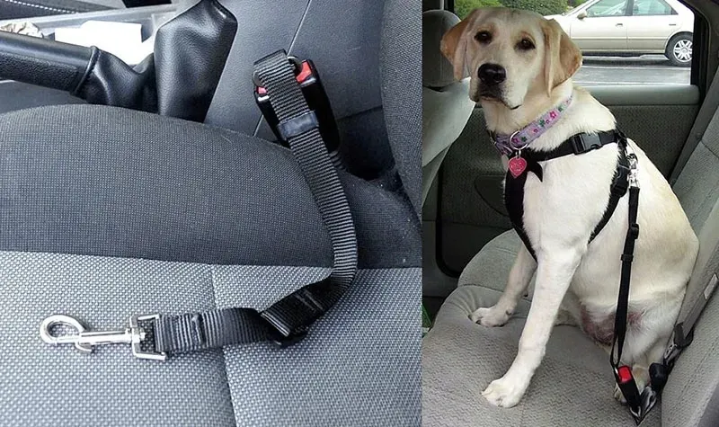 smycz-samochodowa-dla-psa