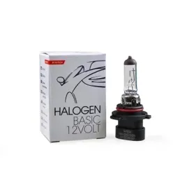 zarowka-halogenowa-p22d-a-9006xs-12v-55w-hb4a