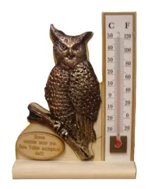 termometr-frez-sowa-145-x-11-cm-nr78