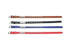 obroza-dla-zwierzat-2cm-x-47cm