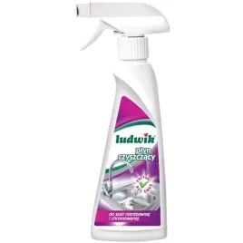 plyn-czyszczacy-do-stali-nierdzewnej-ludwik-250-ml