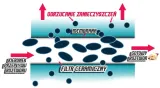 bialko-z-probiotykami-slodzone-stewia-liczba-porcji-w-opakowaniu-28