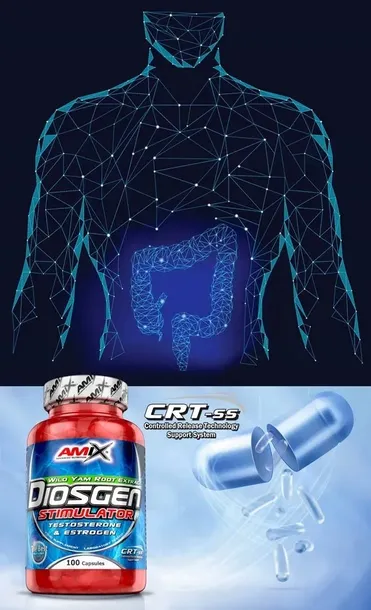 diosgen-stimulator-dhea-przeciwdzialanie-estrogen-podstawowy-skladnik-inny