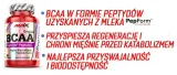 bcaa-w-kapsulkach-peptyd-suplement-na-regeneracje-cechy-bez-aspartamu-bez-cukru-szybkowchlanialne