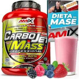 mocny-suplement-gainerr-na-mase-amix-professional