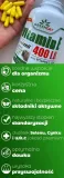 tabletki-witaminy-e-z-cynkiem-i-selenem-nazwa-greenday-vitamin-e-witamina-e-w-kapsulkach-w-tabletkach-cynk-selen