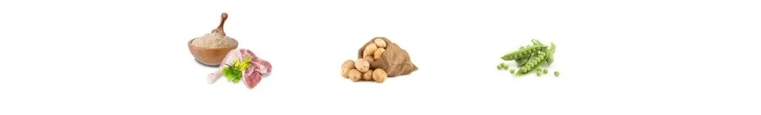 josera-kitten-grainfree-10-kg