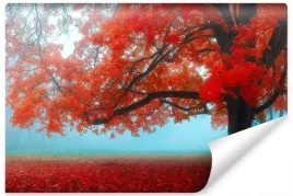 fototapeta-do-salonu-czerwone-liscie-jesienny-las-efekt-3d-450x300