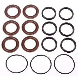 komplet-uszczelnien-naprawczy-fi-20mm-do-pomp-glowicy-hawk-seria-st-mt-mti