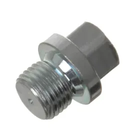 karcher-korek-gwintowany-glowicy-m10x1-sruba-hds-7-382-085-0