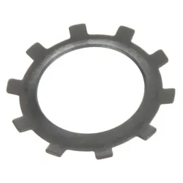 pierscien-zebaty-zabezpieczenie-szkielka-karcher