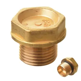 korek-glowicy-zaworu-interpump-w-ws-ww-t-ts-tt