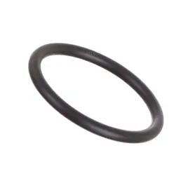 o-ring-uszczelka-dyszy-wylotowej-do-pianownicy-p-a-ls10-ls12