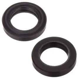 uszczelniacz-tloka-do-karcher-hd-hds-20x30x6-n