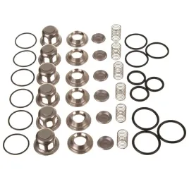 komplet-zaworow-c12-do-pompy-myjki-cat-230-240-270