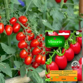 vilmorin-pomidor-koktajlowy-wysoki-tutti-frutti-typ-cherry-owoce-15-20g