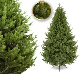 choinka-sztuczna-premium-pe-pvc-swierk-jak-zywa-3d-350-cm