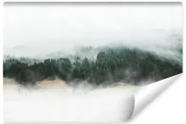 fototapeta-do-salonu-pejzaz-las-we-mgle-natura-abstrakcja-400x280