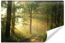 fototapeta-do-jadalni-sloneczny-las-pejzaz-widok-3d-natura-450x300