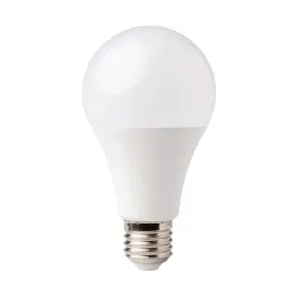 zarowka-led-ledowa-klasyczna-classic-duzy-gwint-e27-20w-6500k-biala-zimna