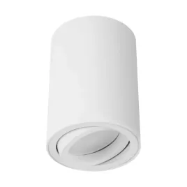 lampa-plafon-oprawa-sufitowa-natynkowa-regulowana-bemol-dwl-03537-bialy