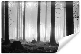 fototapeta-do-sypialni-pejzaz-czarno-bialy-las-we-mgle-abstrakcja-450x300