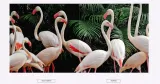 xiaomi-mi-smart-compact-projektor-format-obrazu-16-9