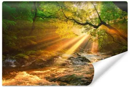 fototapeta-do-jadalni-krajobraz-las-slonce-potok-natura-efekt-3d-450x300