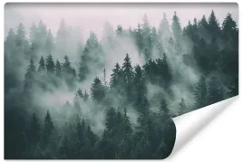 fototapeta-do-salonu-krajobraz-3d-las-we-mgle-natura-drzewa-gory-450x300