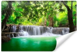 fototapeta-do-jadalni-piekny-wodospad-natura-las-drzewa-pejzaz-3d-450x300