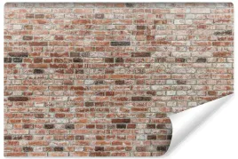 fototapeta-do-sypialni-imitacja-cegly-mur-efekt-3d-450x300