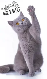 recznik-kot-brytyjski-30x50-bawelna-do-rak-twarzy