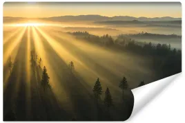 fototapeta-do-salonu-las-we-mgle-wschod-slonca-krajobraz-3d-450x300