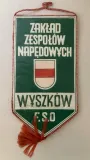 proporczyk-zaklad-zespolow-napedowych