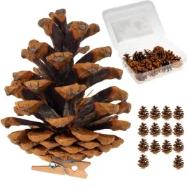 szyszki-sosonowe-z-klamerka-dekoracyjne-ozdoby-swiateczne-do-stroika-14-szt