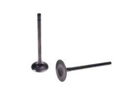 zawor-ssacy-wydechowy-zamki-bashan-200-bs200