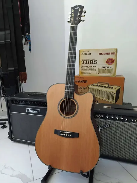 dowina-riesling-dce-gitara-elektroakustyczna-stan-nowy-wersja-praworeczna