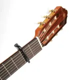 d-addario-pw-cp-04-kapodaster-stan-nowy