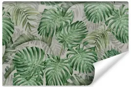fototapeta-do-sypialni-liscie-tropikalne-monstera-natura-abstrakcja-450x300