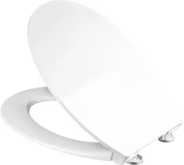 deska-wc-klozetowa-do-grohe-bau-wolno-opadajaca-antybakteryjna-wypinana