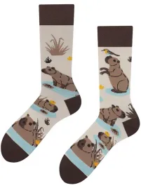 skarpetki-kolorowe-todo-socks-kapibara-39-42